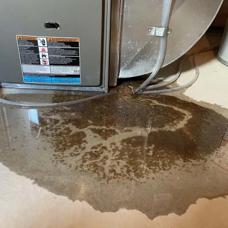 Appliance Leak Cleanup in Kihei, HI
