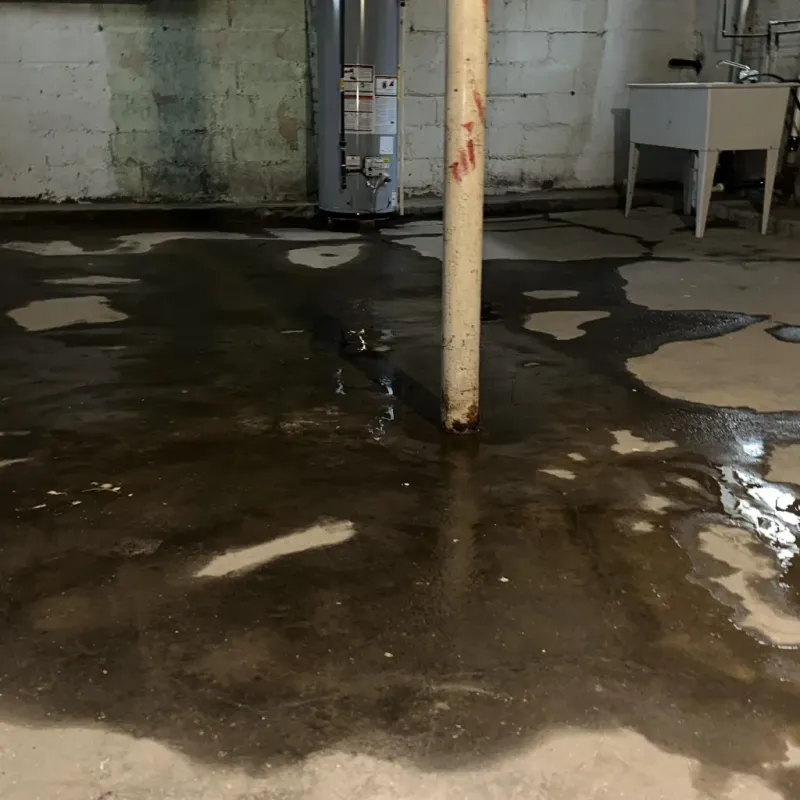 Emergency Water Extraction And Removal in Kihei, HI